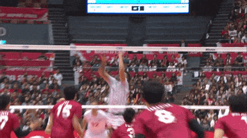 Japan Yes GIF by Volleyball World