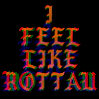 waslosinDE emsland rottau rottau events GIF