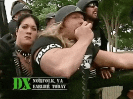 triple h wrestling GIF by WWE