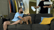 Dog Food GIF by Gogglebox Australia