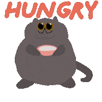 Hungry British Shorthair Sticker