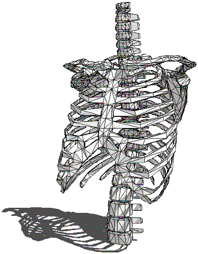 Spin Skeleton Sticker by badblueprints