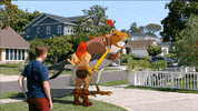 death hawk fox GIF by Son of Zorn