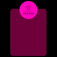 Doe Outubrorosa GIF by Instituto Protea