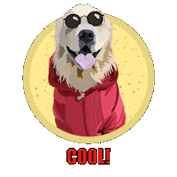 Kevin Sticker