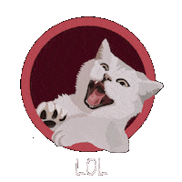 Cat Lol Sticker