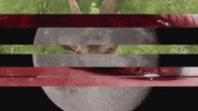 Art Video GIF by jorgemariozuleta