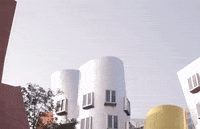 massachusetts GIF