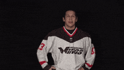philadelphia wings facepalm GIF by NLLWings