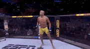 ufc sports sport ufc mma GIF