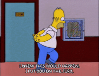 homer simpson GIF