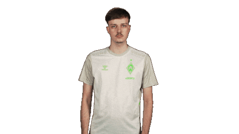 Werder Bremen Applause Sticker by Bundesliga