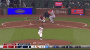 St Louis Cardinals Sport GIF by MLB