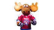 celebration yes Sticker by Newcastle Northstars
