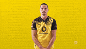 Borussia Dortmund Football GIF by Bundesliga