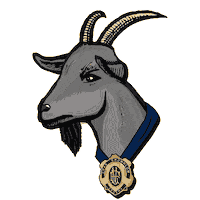 Australian Football League Sticker by AFL