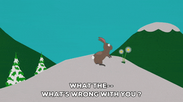 snow bunny GIF by South Park 
