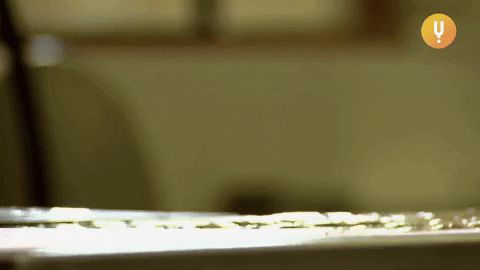Baking Sweet Tooth GIF by CuriosityStream
