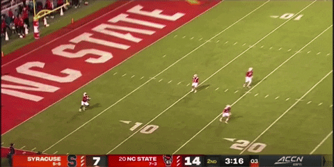 therealessad giphygifgrabber bam td nc state GIF