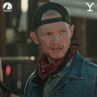 Paramount Network Ok GIF by Yellowstone