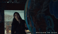 Park Chan-Wook Romance GIF by Madman Films