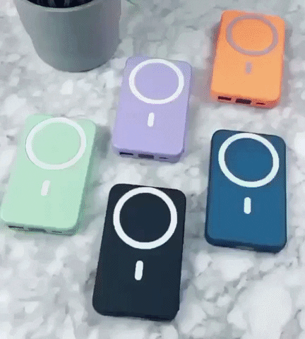 bulldogstore giphygifmaker GIF