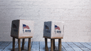 curiousclay vote election stop motion voting GIF