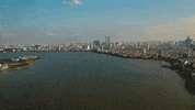 Vietnam GIF