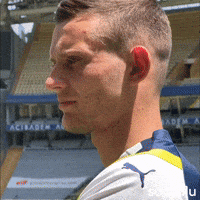 Szymanski GIF by Socinflu