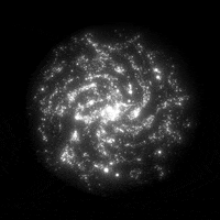 Black And White Loop GIF by xponentialdesign