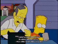 bart simpson episode 13 GIF