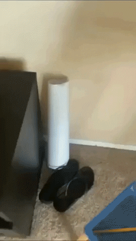 cuteanimalland giphyupload GIF