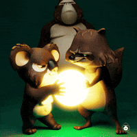 Gorilla Raccoon GIF