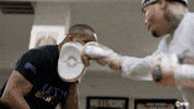 GIF by SHOWTIME Sports