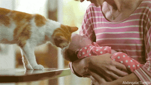 mothers day GIF