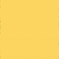 Voting Election 2020 GIF by INTO ACTION
