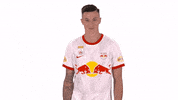Happy Dance GIF by FC Red Bull Salzburg