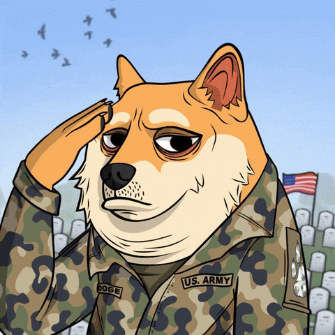 Saluting 4Th Of July GIF by Doge Pound