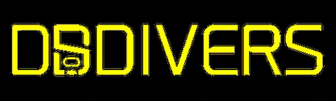 DSDIVERS giphygifmaker dive buceo padi GIF