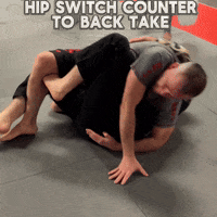 Wrestling Grappling GIF