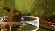 Spartans Multiplayer GIF by Halo
