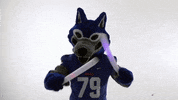 lightsaber uwg GIF by University of West Georgia