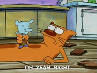 nicksplat GIF