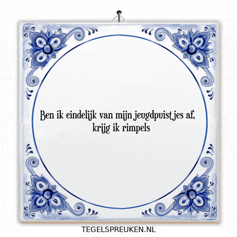 Humor Nl GIF by Tegelspreuken.nl