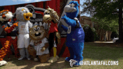 football nfl GIF by Atlanta Falcons