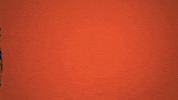 Happy Illinois Football GIF by Fighting Illini Athletics