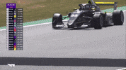 Sport Racing GIF by W Series