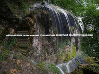 Enjoy Lol GIF by FranchiseONE.de