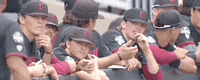 College World Series Baseball GIF by NCAA Championships