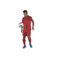 Indian Football Sticker by Indian Super League